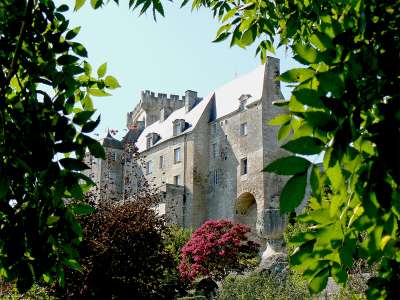 © Les vestiges de l'ancien château de Pons qui domine la vallée de la Seugne
