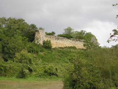 © Vestiges du château de St-Thomas-de-Conac