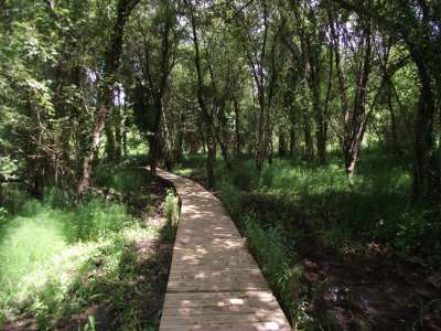 © sentier du Fontcroze