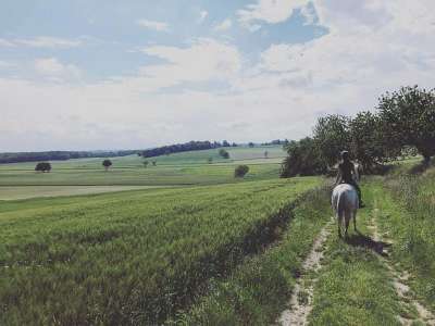 © La pension du Lys