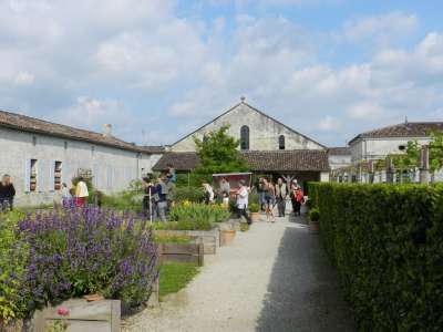 © Jardin médicinal de Pons