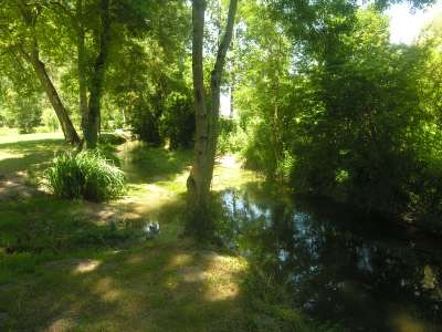 © Le Trèfle à quelques mètres de sa confluence (le Bec d'Ambès) avec le Tâtre