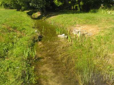 © Le ruisseau