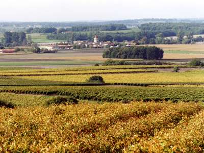 © Vue du moulin d'Arthus sur le Vignoble du Cognac et le village de Neuillac