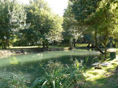 © Les bords de Seugne