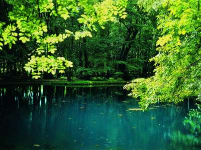 © Les Fontaines Bleues