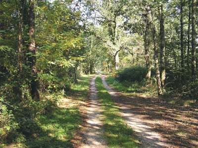 © Un chemin près du Pas de Turia