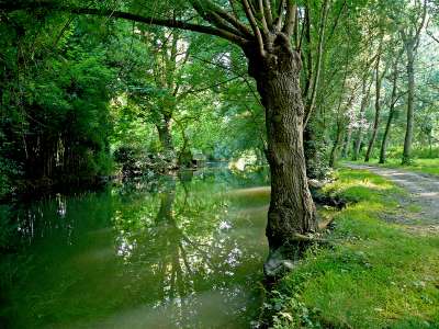 © Les bords de Seugne à Pons