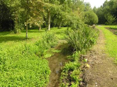 © Les bords du ruisseau