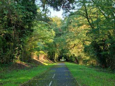 © La forêt de la Double Saintongeaise_Saint-Aigulin