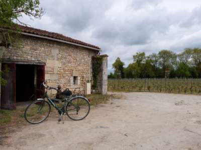 © Vignoble Chauraud
