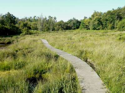 © La passerelle pour découvrir la tourbière de l'étang des Bénissons à Soubran