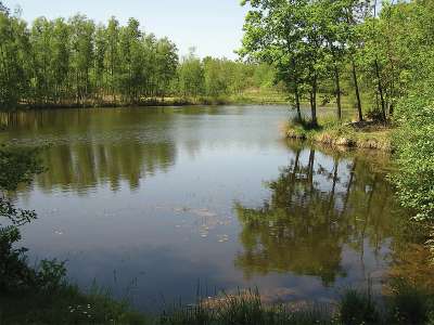 © L'étang des Bénissons à Soubra