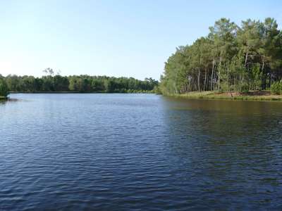 © Lac Baron Desqueyroux de Montendre