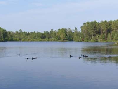 © Lac Baron Desqueyroux de Montendre
