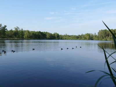 © Lac Baron Desqueyroux de Montendre