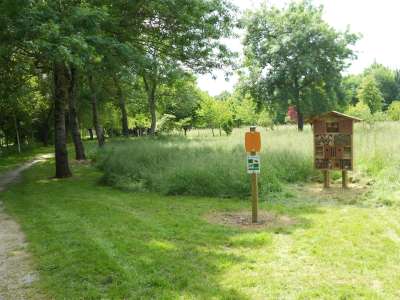 © Mail de Seugne et arboretum de Jonzac