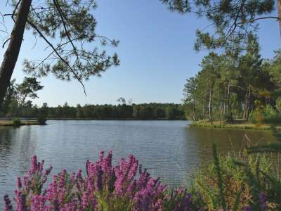 © Lac Baron Desqueyroux de Montendre