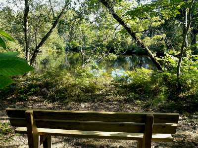 © Un banc pour vous reposer sur les bords de l'étang des Bénissons