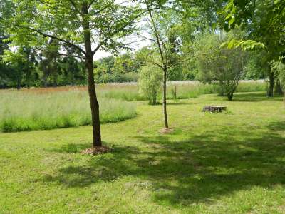 © Mail de Seugne et arboretum de Jonzac