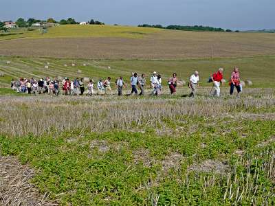 © Randonneurs dans la plaine de La Champagne d'Expiremont
