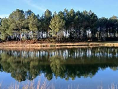 © Lac Baron Desqueyrou