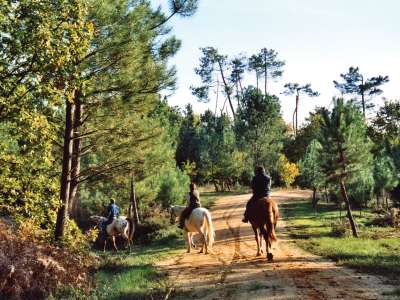 © Cavaliers sur la Route des Cardinaux sur des chemins de la Double Saintongeaise Cavaliers sur la Route des Cardinaux, bord d'un lac de la Double Saintongeaise L'église de Saint-Martin-d'Ary, point de départ du tronçon L'église Saint-Étienne de Chepniers La halte équestre à l'étang de Robinson La fontaine restaurée à l'étang de Robinson Bruyères dans la forêt de la Double Saintongeaise En vous penchant un peu vous trouverez des droseras La forêt de la Double Saintongeaise Paysage de bruyères de la forêt de la Double Saintongeaise La forêt de la Double Saintongeaise : pins et fougères La forêt de la Double Saintongeaise en automne La halte équestre au lac Baron-Desqueyroux à Montendre Le lac Baron-Desqueyroux à Montendre Le lac Baron-Desqueyroux et le Parc Mysterra au fond Activité nautique sur le lac Baron-Desqueroux à Montendre Famille au lac Baron-Desqueyroux de Montendre Jeux au lac Baron-Desqueyroux à Montendre