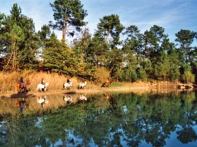 © Cavaliers sur la Route des Cardinaux sur des chemins de la Double Saintongeaise Cavaliers sur la Route des Cardinaux, bord d'un lac de la Double Saintongeaise L'église de Saint-Martin-d'Ary, point de départ du tronçon L'église Saint-Étienne de Chepniers La halte équestre à l'étang de Robinson La fontaine restaurée à l'étang de Robinson Bruyères dans la forêt de la Double Saintongeaise En vous penchant un peu vous trouverez des droseras La forêt de la Double Saintongeaise Paysage de bruyères de la forêt de la Double Saintongeaise La forêt de la Double Saintongeaise : pins et fougères La forêt de la Double Saintongeaise en automne La halte équestre au lac Baron-Desqueyroux à Montendre Le lac Baron-Desqueyroux à Montendre Le lac Baron-Desqueyroux et le Parc Mysterra au fond Activité nautique sur le lac Baron-Desqueroux à Montendre Famille au lac Baron-Desqueyroux de Montendre Jeux au lac Baron-Desqueyroux à Montendre