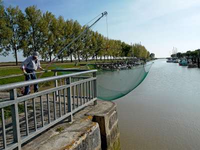© De la tour de Beaumont, magnifique panorama sur l'estuaire de la Gironde et le Médoc Tables de lecture au pied de la tour de Beaumont Pêcheur au carrelet dans le chenal à Port Maubert Bateaux de pêche à Port Maubert Le bâtiment résolument moderne de l'école de voile de Port Maubert Nid de cigognes blanches dans le marais saintongeais Le château de Beaulon et son parc Les mystérieuses Fontaines bleues du château de Beaulon L'église Saint-Fortunat de St-Fort-sur-Gironde
